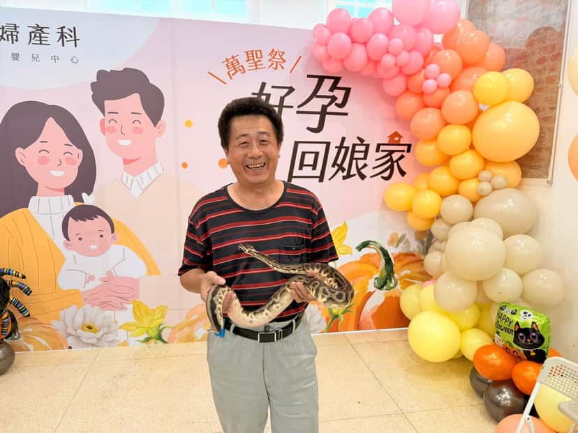 穿條紋上衣的長輩抱著一條蛇，背後是萬聖節背板和粉紅、橘、黃、奶油色的氣球花圈