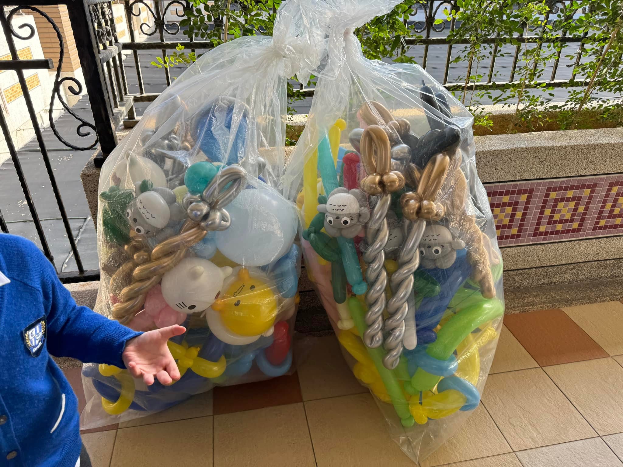 兩大袋透明塑膠袋裝滿事先做好的造型氣球，放在校園走廊