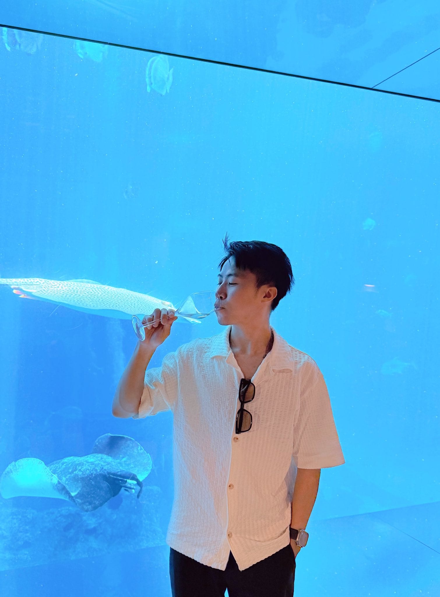 我站在藍色的大水族箱前，裡面有白色的大型海洋生物